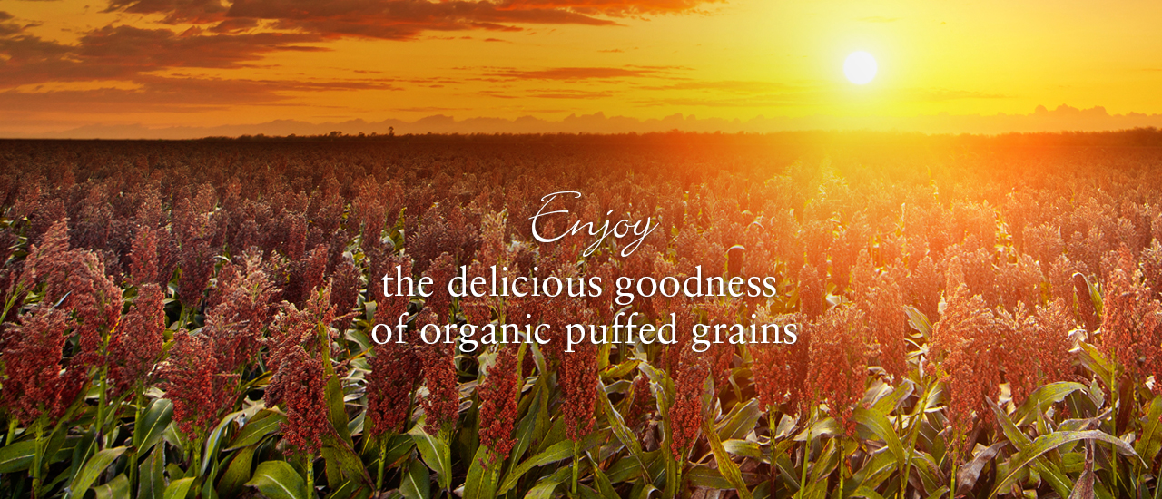 Cereals & Legumes