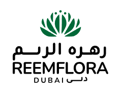 Reemflora LLC