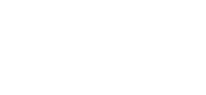 BCL  Globiz Accounting & Consulting llc