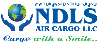 NDLS Cargo & Courier LLC