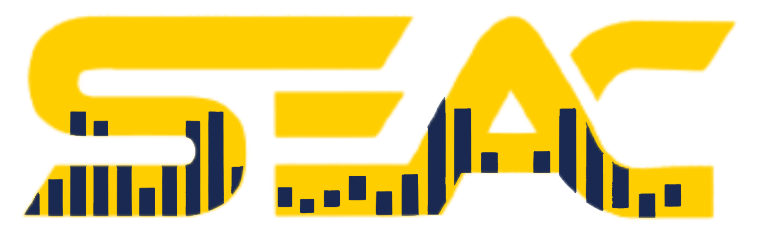 Syedconsultancy