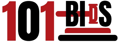 101 Bids