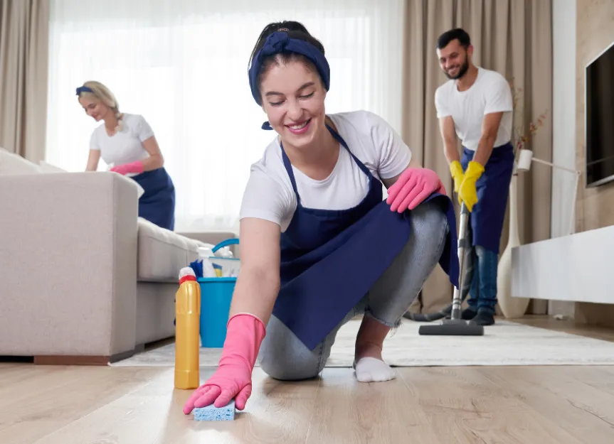 General Home Cleaning
